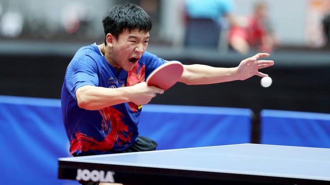 张伟丽面临 张伟丽面临