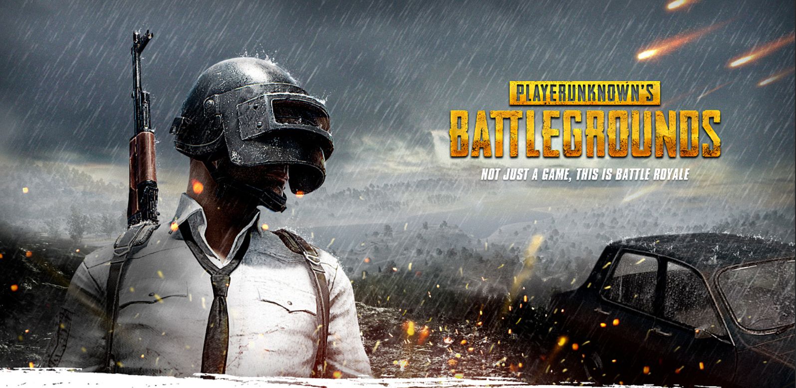 总体来看 总体来看