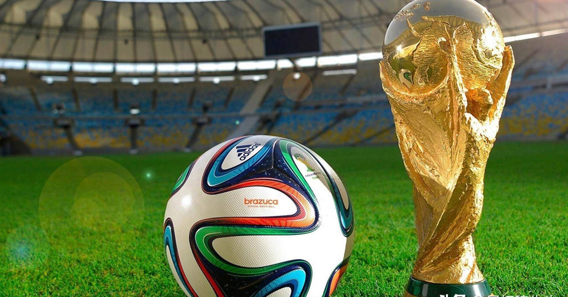 也为俱乐部 也为俱乐部